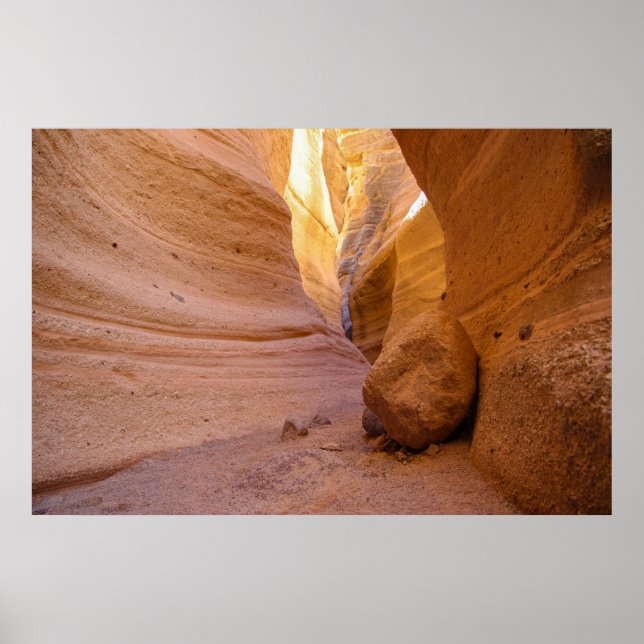 Póster ¡paso pacífico! (Frente)