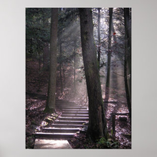 Póster Pasos a la Ilustración