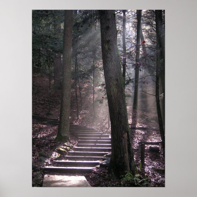 Póster Pasos a la Ilustración (Frente)