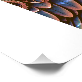 PÓSTER PASSÁRO GUARDIÃO