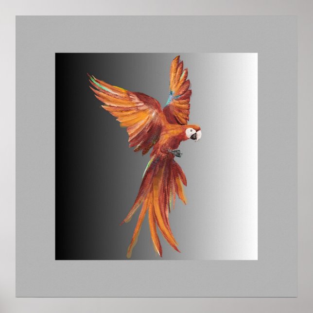 Póster Pássaro Vermelho (Frente)