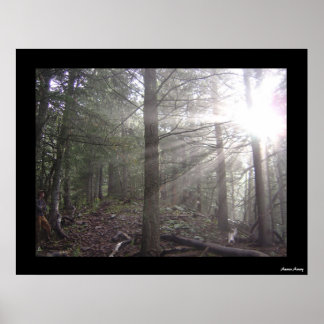 Póster Passing Through