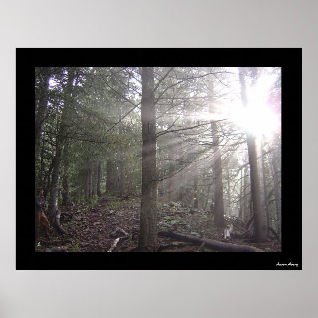 Póster Passing Through (Frente)