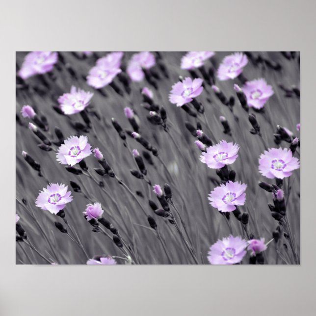 Póster Pastel Lilac Wildflowers (Frente)