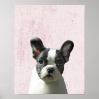Pastel Rosa Peekaboo Nursera de Cachorros Terrier 