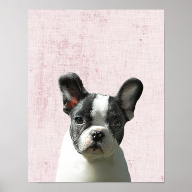 Póster Pastel Rosa Peekaboo Nursera de Cachorros Terrier  (Frente)