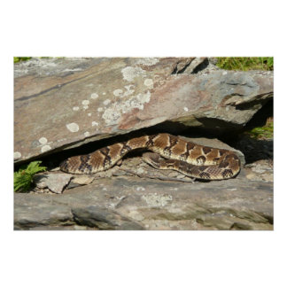 Póster Pastelería en el Parque Nacional de Shenandoah