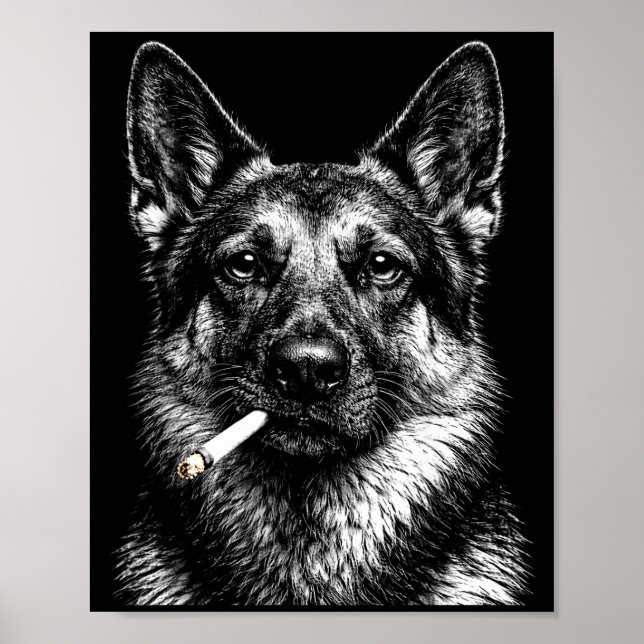 Póster Pastor alemán fumando meme divertido de perro gáns (Frente)