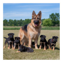 Pastor Alemán Personalizable con Cachorros Adorabl