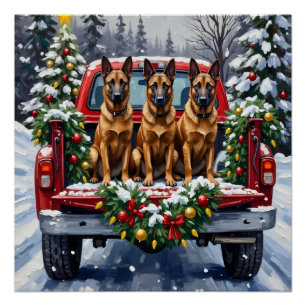 Póster Pastor Belga Malinois Navidad Camión Rojo Fiesta
