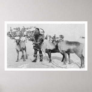 Póster Pastor de renos Alaska 1909