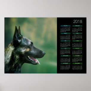 Póster Pastor holandés - calendario 2018 de Dutchie