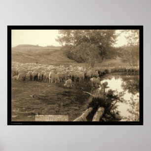 Póster Pastor y multitud Dakota del Sur 1891