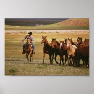 Póster Pastoreo de vaqueros en el Rancho