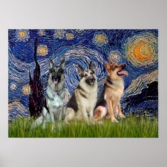 Póster Pastores alemanes tres - Noche estrellada (Frente)
