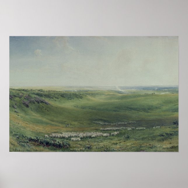 Póster Pastos anchos, Sussex (Frente)