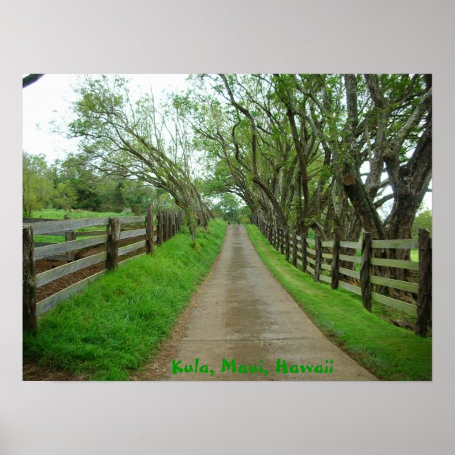 Póster Pastos más verdes (Frente)