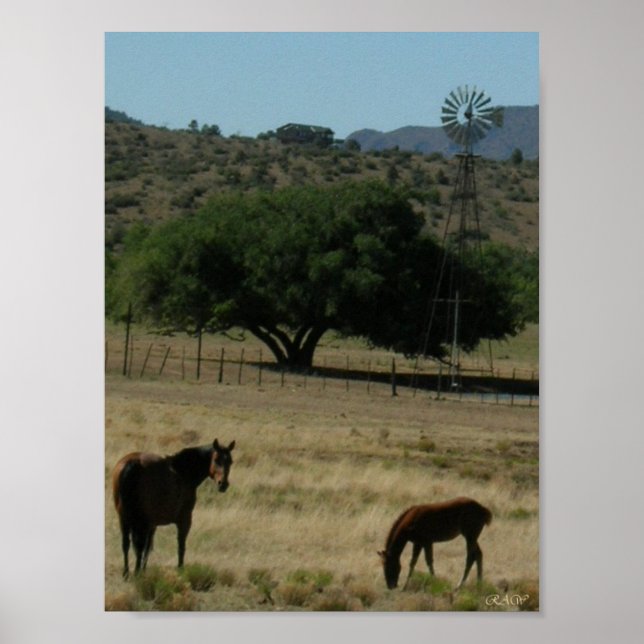 Póster Pasture Perfect (Frente)