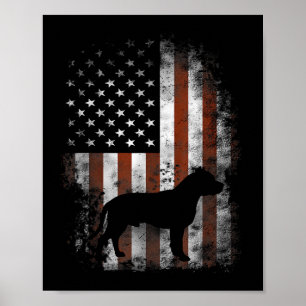 Póster Pat de la bandera estadounidense de la camiseta no