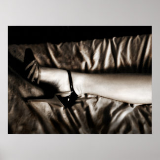 Póster Pata perfecta