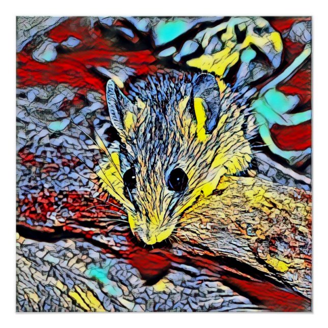 Póster Patada de color - ratón (Anverso)