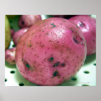 Póster Patata de la Tierra Roja