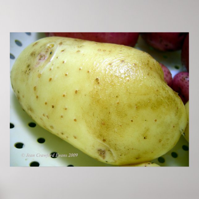 Póster Patata Yukon Gold (Frente)