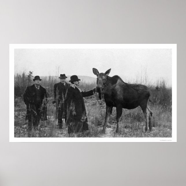 Póster Patear una foto de Moose 1921 (Frente)