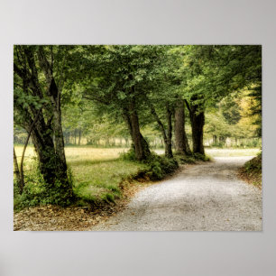 Póster Path in the Country