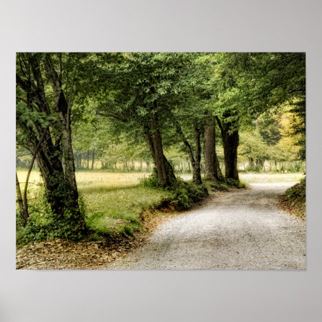 Póster Path in the Country (Frente)