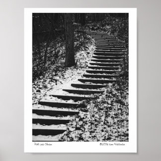 Póster Path Less Chosen