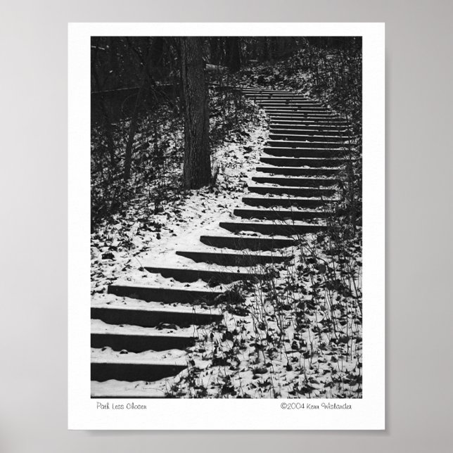 Póster Path Less Chosen (Frente)