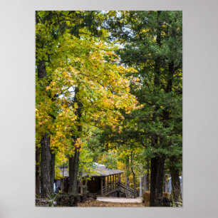 Póster Path To Kaysinger General Store