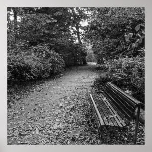 Póster Path to Peace