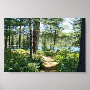 Póster "Path to the Lake" Poster