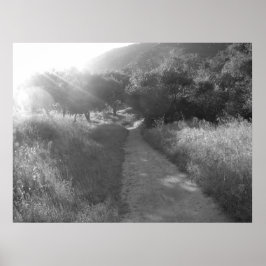 Póster Pathway to Light Poster