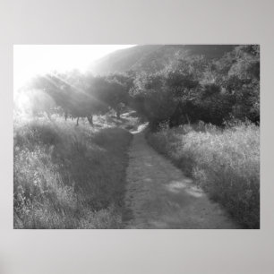 Póster Pathway to Light Poster