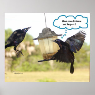 Póster Patience Respect Ravens Crows bird Print