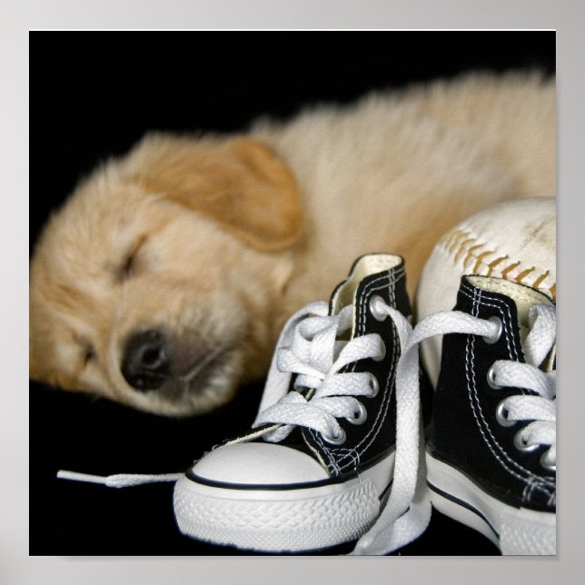 Póster Patiently Waiting (Frente)