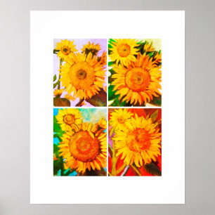 Póster Patio del girasol
