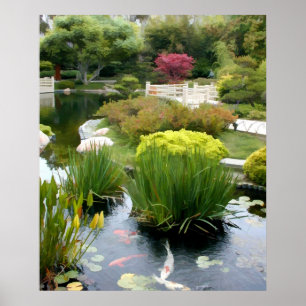 Póster Patio para el Koi