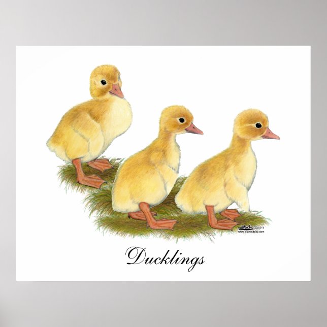 Póster Patitos amarillos (Frente)