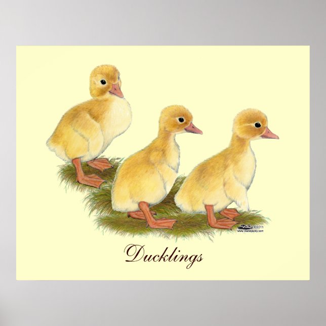 Póster Patitos amarillos (Frente)