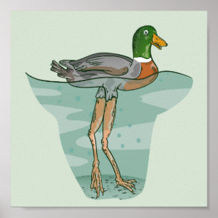 Póster Pato alto con piernas largas
