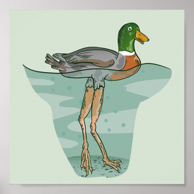 Póster Pato alto con piernas largas (Frente)