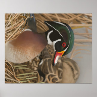 Póster Pato de madera