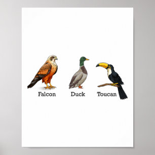 Póster Pato Halcón Tucán Aves Sutil Anti Trump