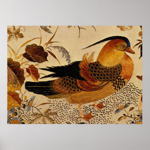 Póster Pato Mandarin