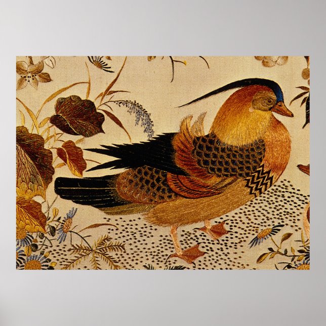 Póster Pato Mandarin (Frente)