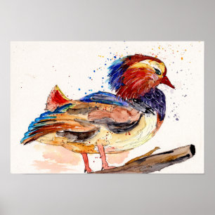 Póster Pato mandarín acuarela